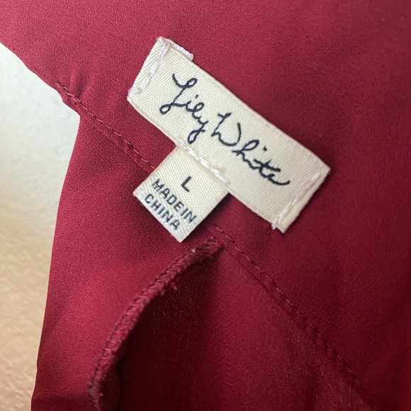 Lily White Open-back Semi-sheer Blouse - Picture 5 of 6